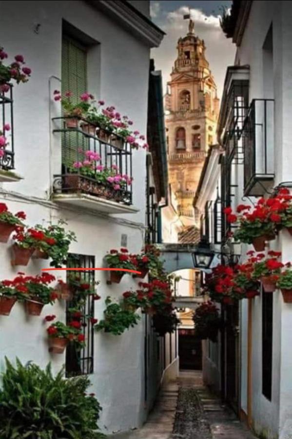 Apartamento La Magdalena 코르도바 외부 사진